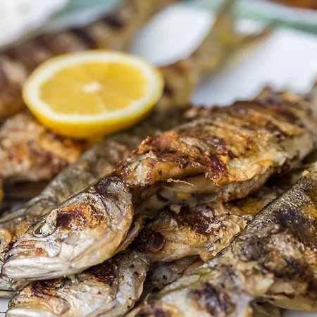 Hotel Tropics & Venera Sveti Vlas