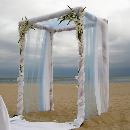 酒店 家庭金星大酒店