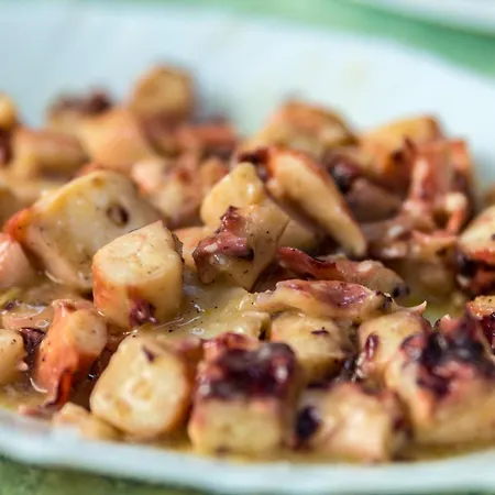 Hotel Hotel Tropics & Venera