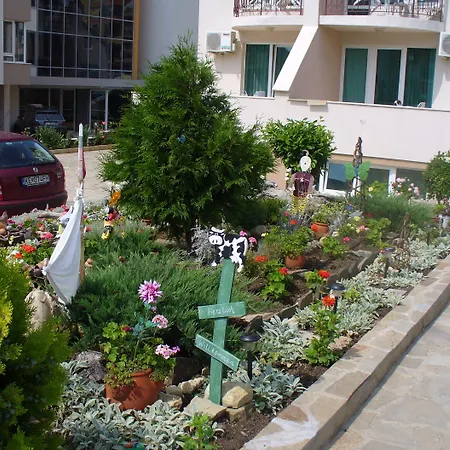 酒店 家庭金星大酒店