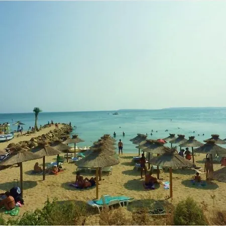 酒店 家庭金星大酒店 圣弗拉斯