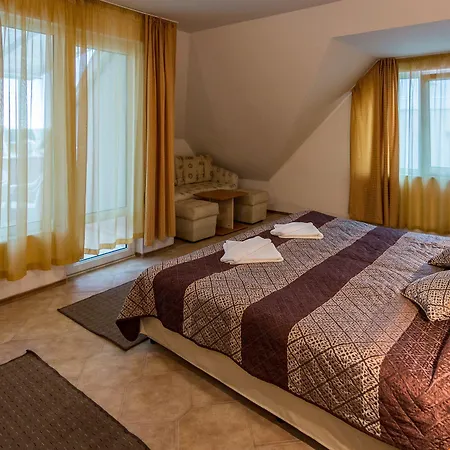 家庭金星大酒店 酒店