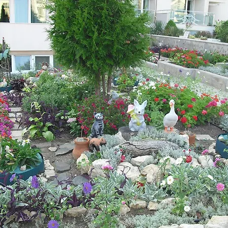 Family Venera 3* 스베티 블라스