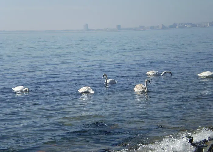 Tropics & Venera Hotel 3*