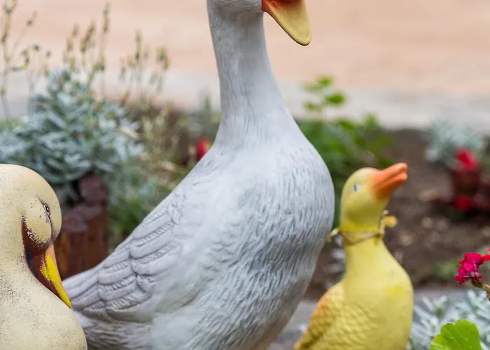 Tropics & Venera Hotel 3*