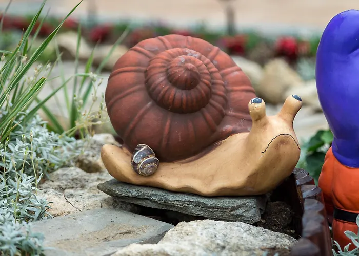 Tropics & Venera Sweti Wlas